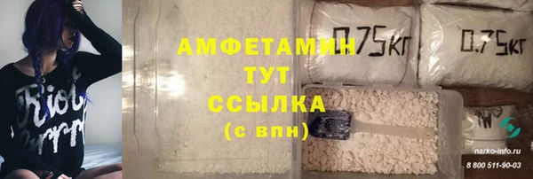 прущий лед Верея